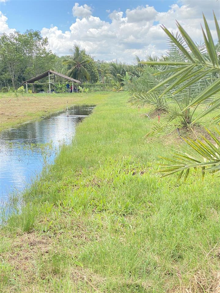 Cho thuê đất vườn view đẹp diện tích 10.000m2 mở quán