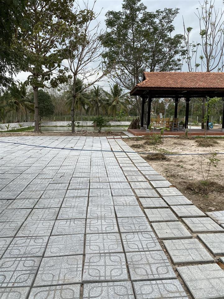 Cho thuê đất vườn view đẹp diện tích 10.000m2 mở quán