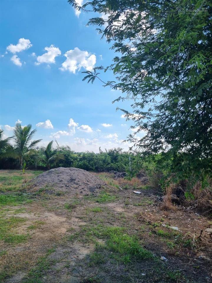 Bán đất tại trường huệ, 4,2 tỷ, 1385,2 m2, view đẹp chỉ với