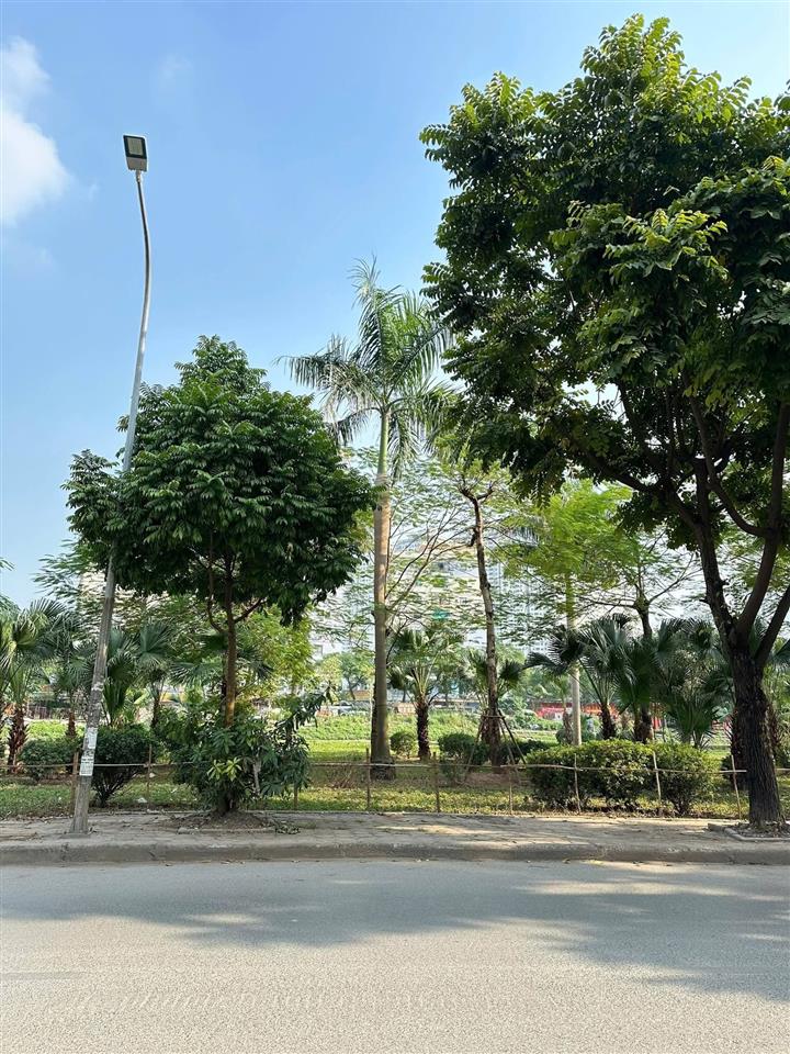 Đất thổ cư Kim Giang, DT58m2, MT4.4m, 23.9 tỷ Thanh Trì