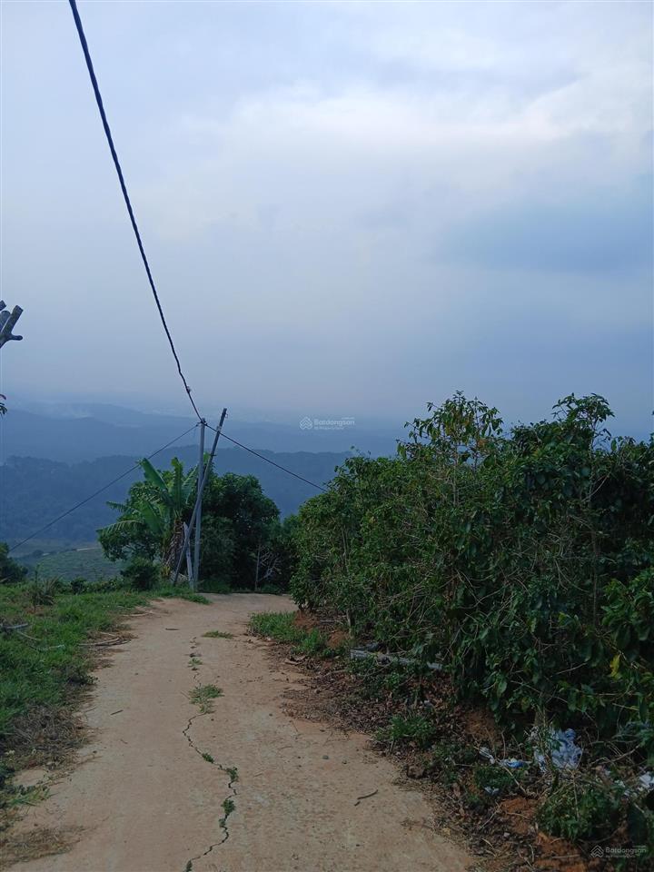 Bds săn mây cầu đất xuân trường