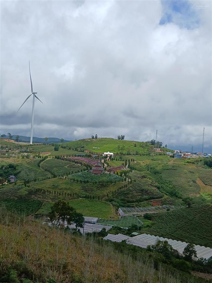Bds săn mây cầu đất xuân trường