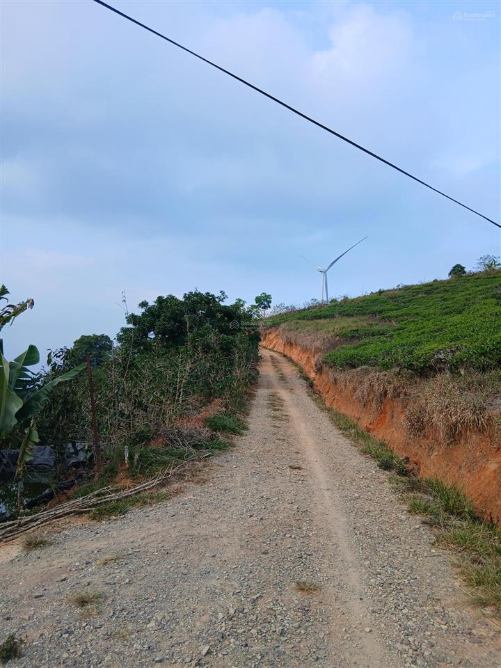 Bds săn mây cầu đất xuân trường