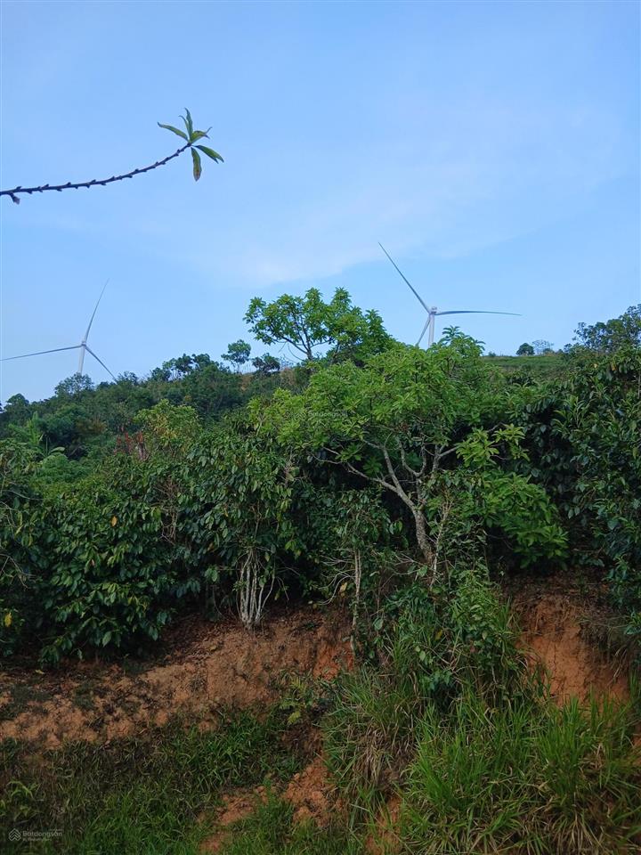 Bds săn mây cầu đất xuân trường