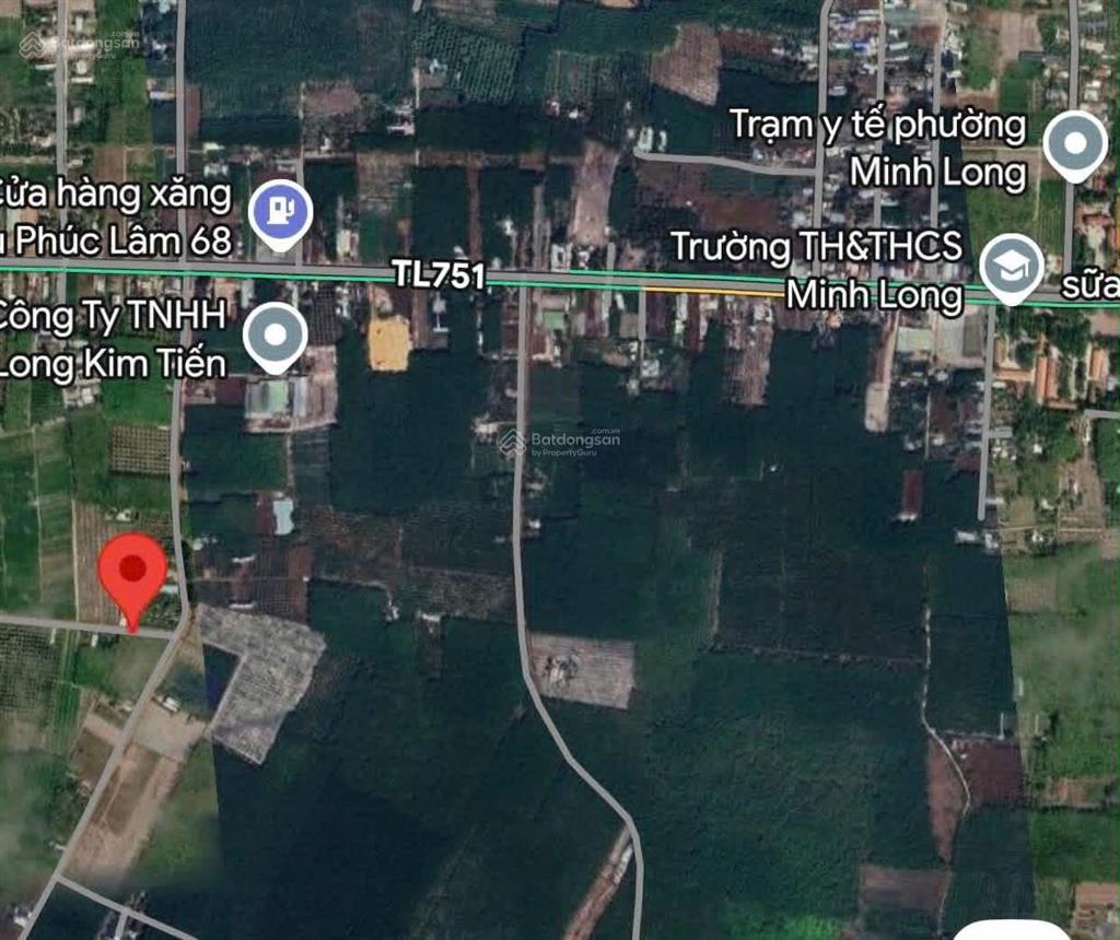 Bán đất chính chủ vườn mít 250m2