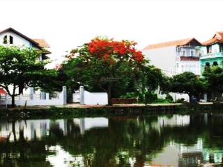 Cho thuê nguyên căn 60m2  mặt tiền trục chính, view hồ thoáng mát khu vực ngọc trì lâm thao