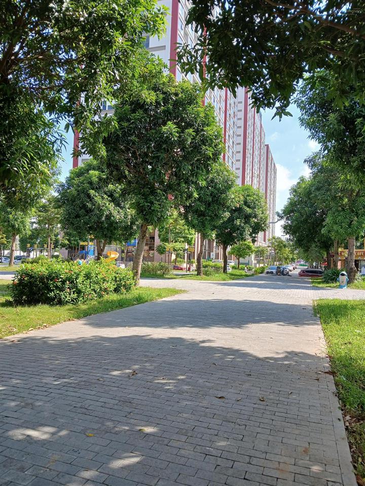 Bán studio gian thương mại k123 giá 3,25 tỷ full nội thất