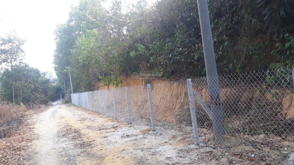 Bán đất long tân  nhơn trạch 9000 m2