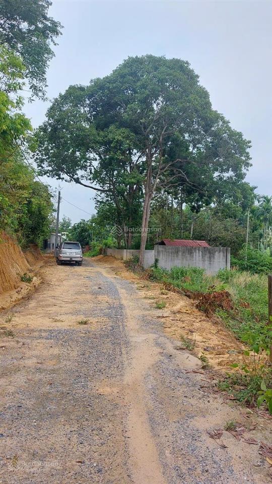 Bán đất long tân  nhơn trạch 9000 m2