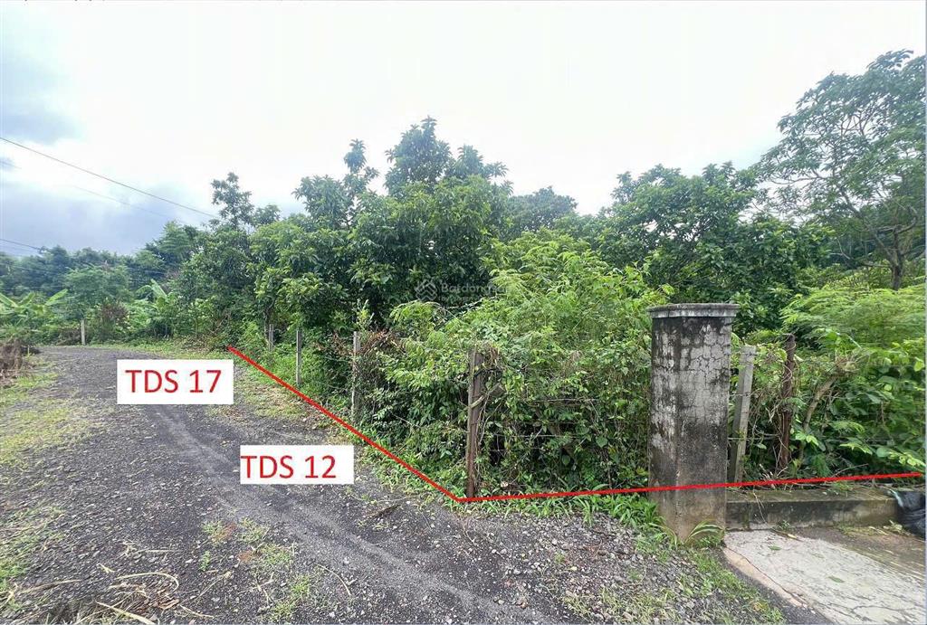 Ngân hàng thanh lý gấp hai lô sẵn thổ, dt hơn 1800m2, giá nhỉnh 2 tỷ, bình giã châu đức