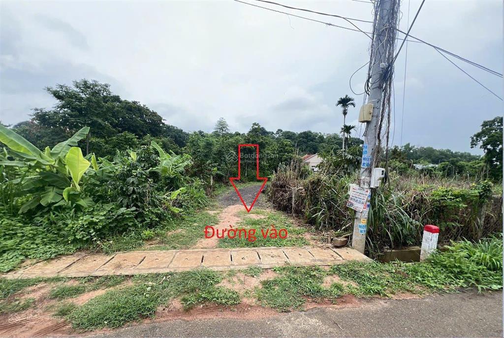Ngân hàng thanh lý gấp hai lô sẵn thổ, dt hơn 1800m2, giá nhỉnh 2 tỷ, bình giã châu đức