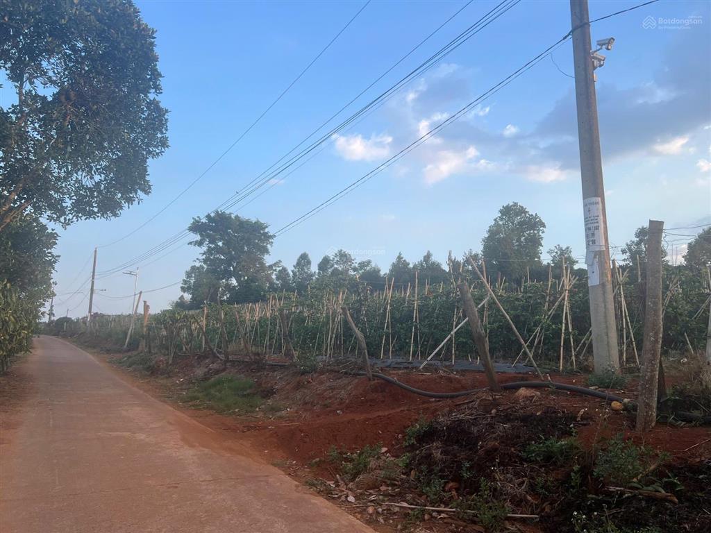 Ngân hàng thanh lý lô đất 1.038m2 tại xã đan phượng, lâm hà, lâm đồng