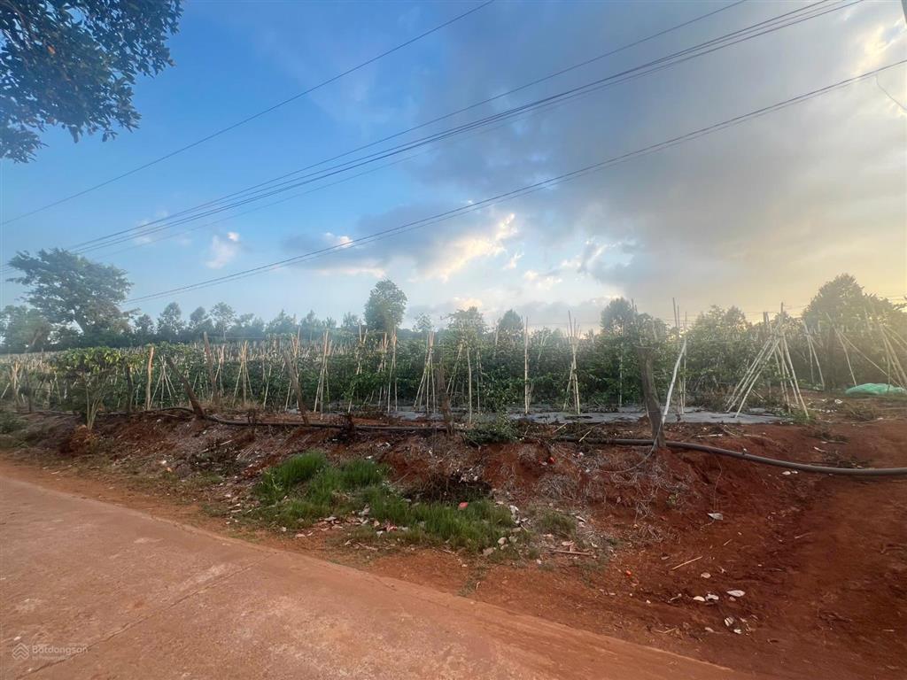 Ngân hàng thanh lý lô đất 1.038m2 tại xã đan phượng, lâm hà, lâm đồng