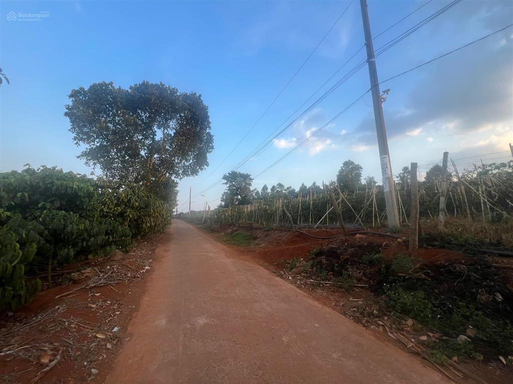 Ngân hàng thanh lý lô đất 1.038m2 tại xã đan phượng, lâm hà, lâm đồng