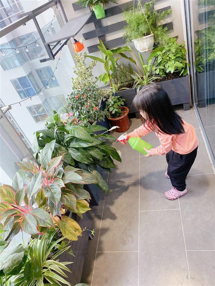 Giá thật. chính chủ bán gấp căn 2 pn view đài phun nước ban công đông nam tầng trung.