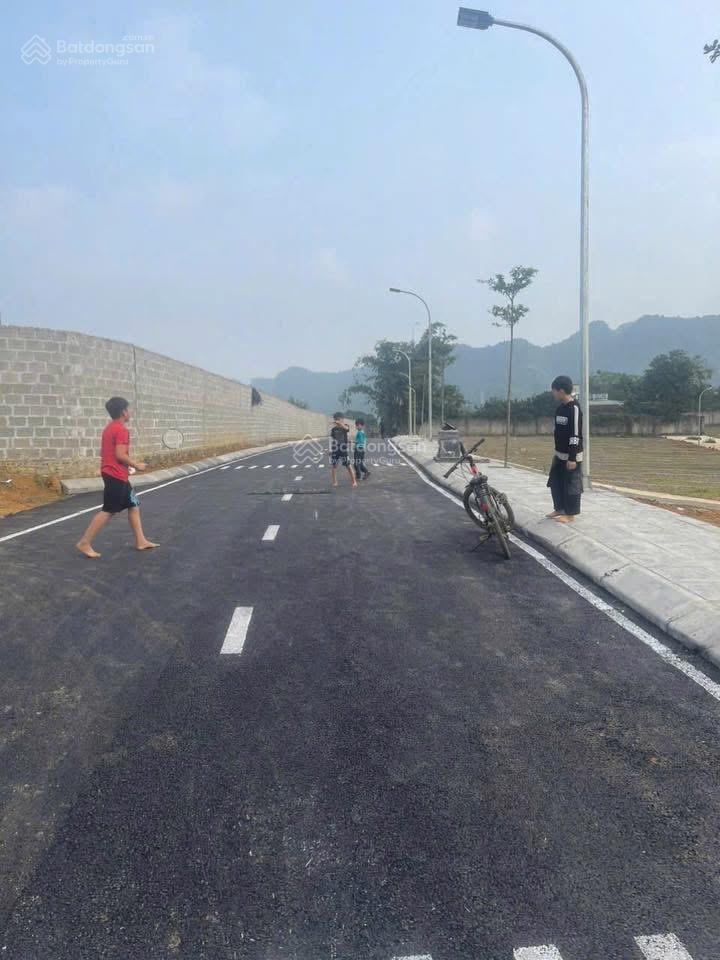 Bán đất nền dự án 156,2 m2, hàng hiếm tại bảo hiệu
