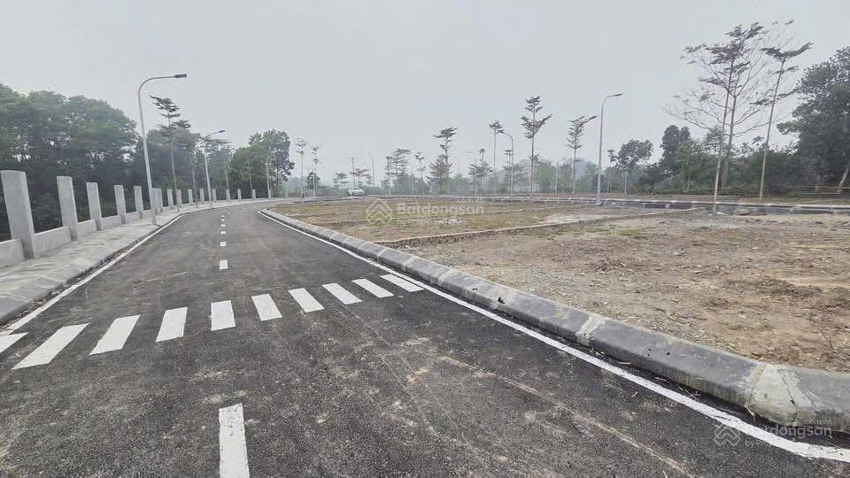 Bán đất nền dự án 156,2 m2, hàng hiếm tại bảo hiệu