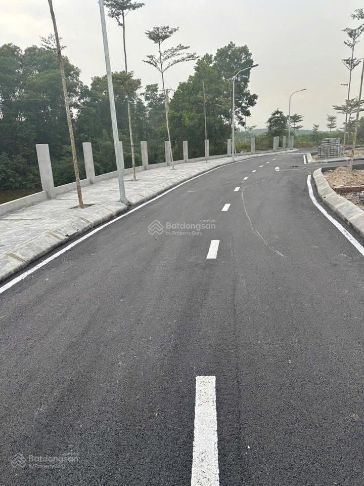 Bán đất nền dự án 156,2 m2, hàng hiếm tại bảo hiệu