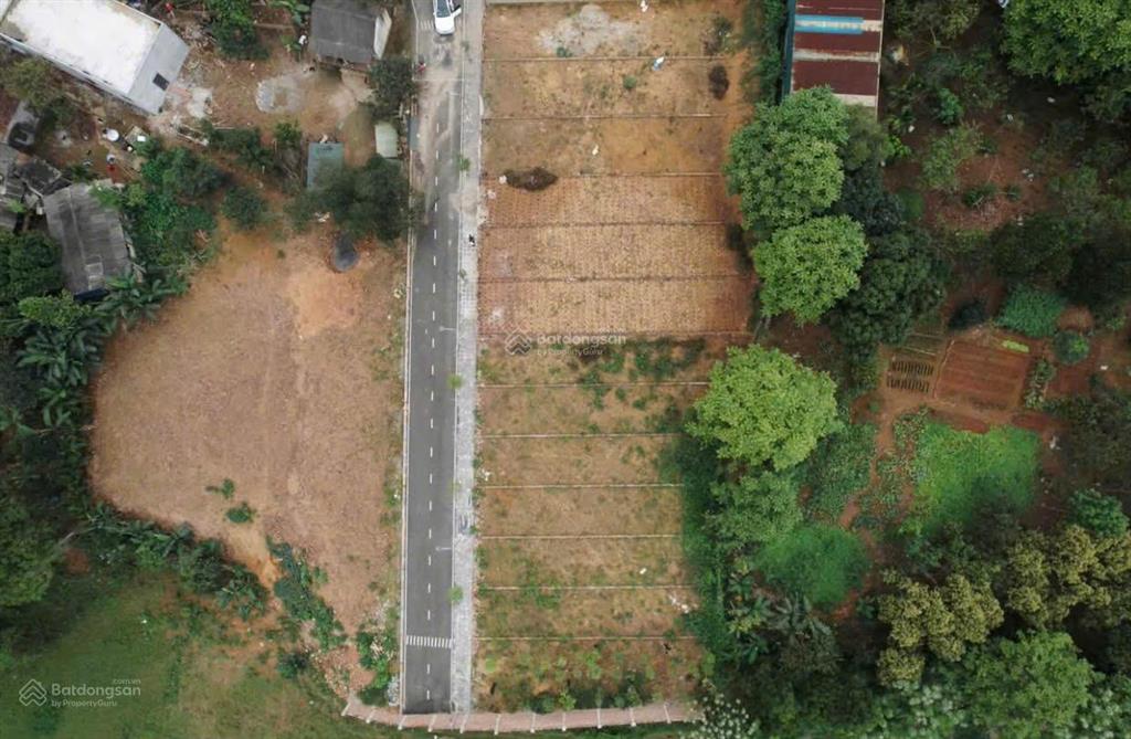 Bán đất chính chủ tại lâm hoá với giá cắt lỗ.