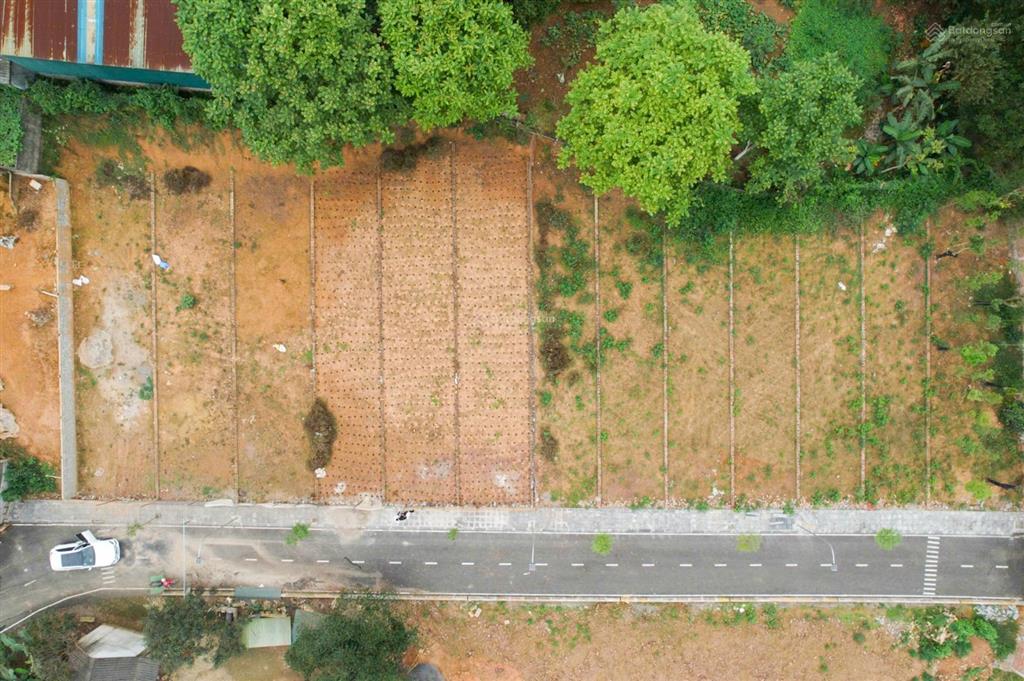 Bán đất chính chủ tại lâm hoá với giá cắt lỗ.
