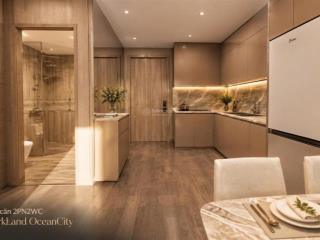 Bán căn 2 pngủ 2 vs 58m2 vinhomes ocean park 3 giá 2,6 tỷ, trả trước 300 triệu, nhận nhà 0963 133 ***