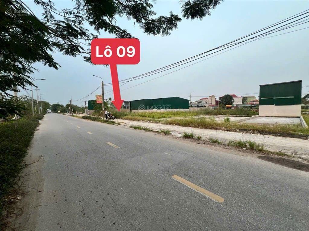 Bán đất đấu giá thụy ứng  thường tín