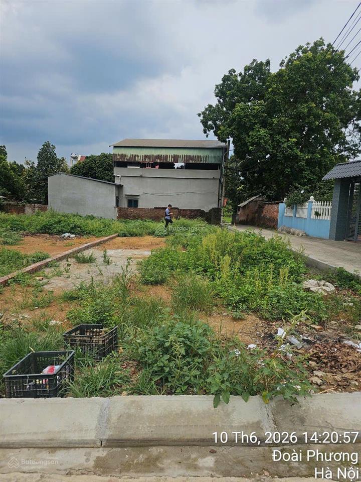 Chính chủ bán lô góc 124m2 giá 3 tỷ. trung tâm hòa lạc