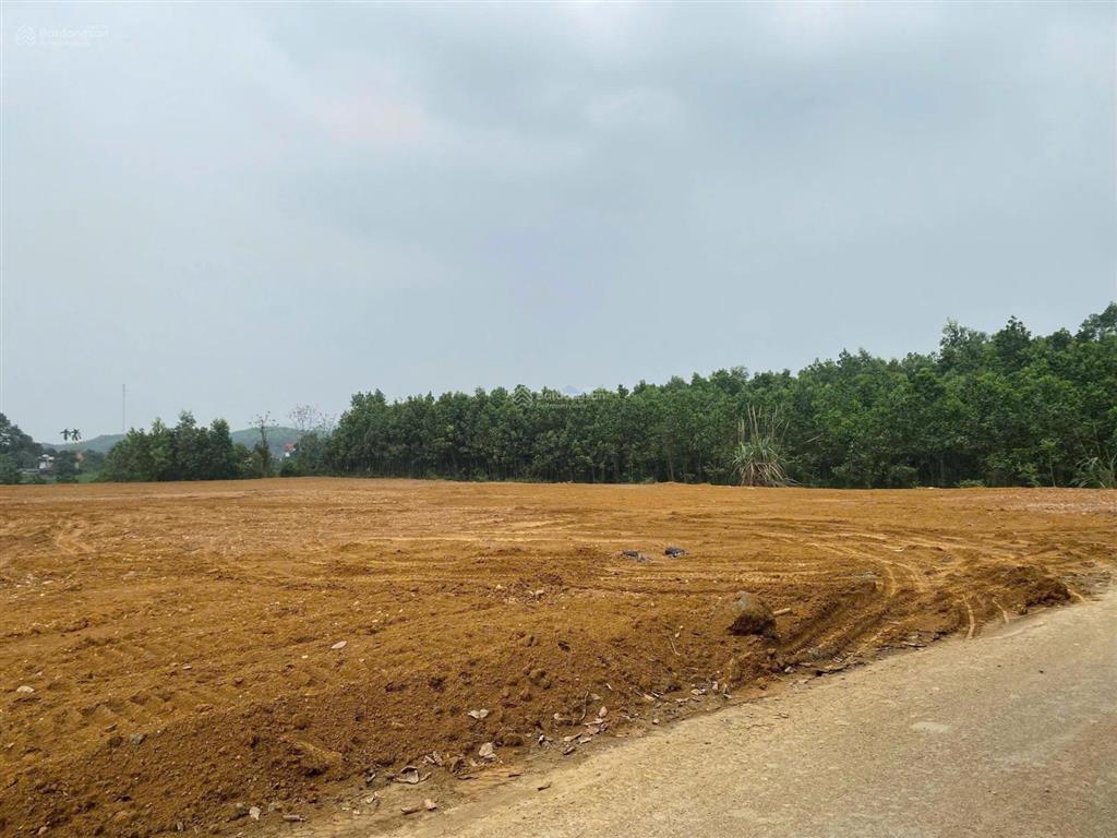 Chính chủ bán mảnh đất đối diện cụm cn phú thành, lạc thủy hòa bình. giá 680tr, cạnh đường mòn hcm