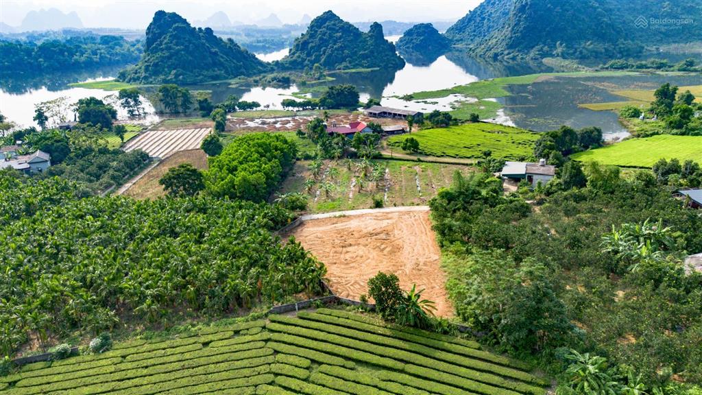 Chính chủ bán cắt lỗ mảnh đất 1147m2 cạnh hồ đá bạc, lạc thủy, hòa bình, giá chỉ 2,6 tỷ