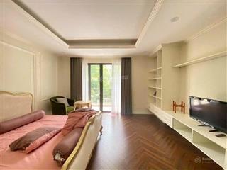 Năng hải villas  bán nhanh căn btsl góc cực đẹp tại vinhomes thăng long