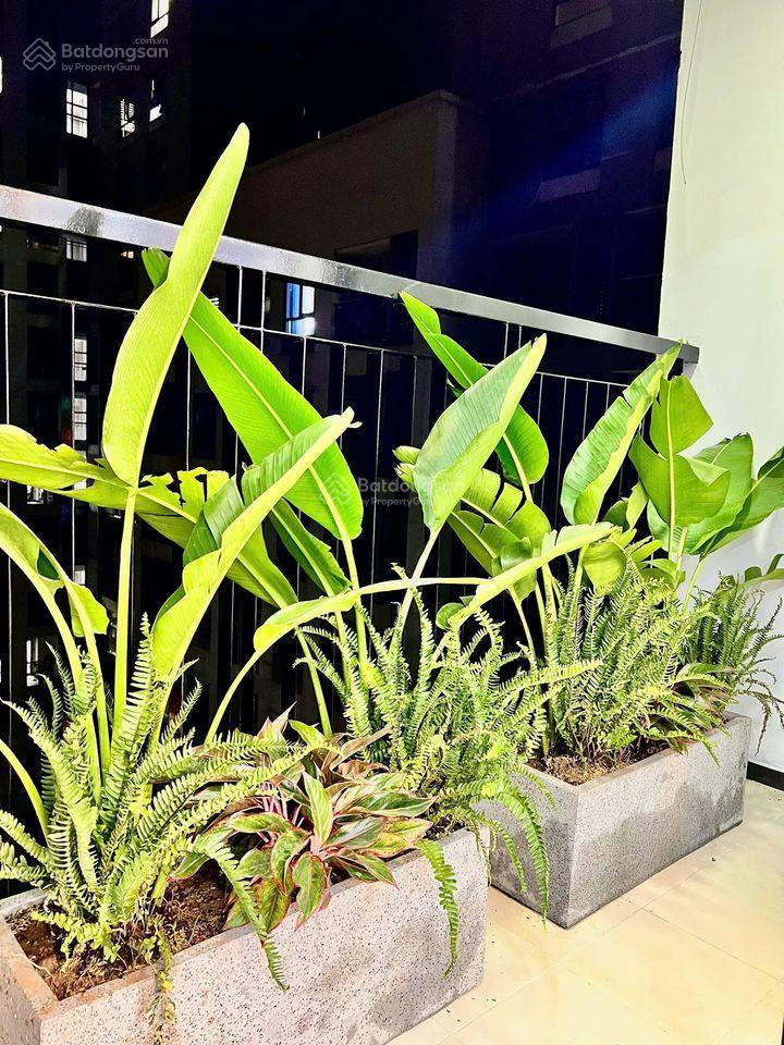 Tôi cần bán gấp chung cư kđt nam trung yên 65m2, 2 ngủ chỉ 4.x tỷ