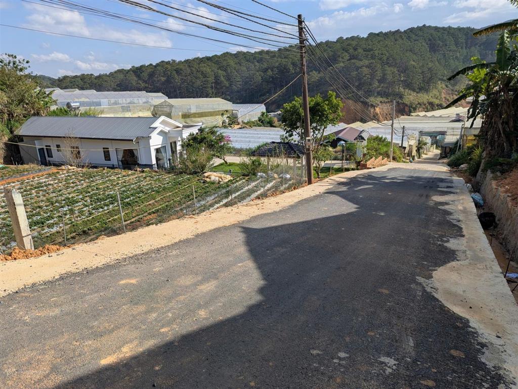Bán đất đường vành đai đà lạt. 545m2 view rừng thông gần tthc, chợ đà lạt, kdl hồ tuyền lâm