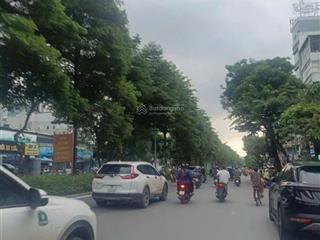 Hiếm! tòa văn phòng mặt phố đào tấn 160m2, mt 6.5m  ngân hàng đòi thuê 200tr/th