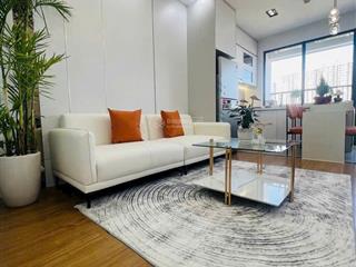 Chính chủ bán gấp căn hộ chung cư tại iris garden, 4,25 tỷ, 61m2, view đẹp