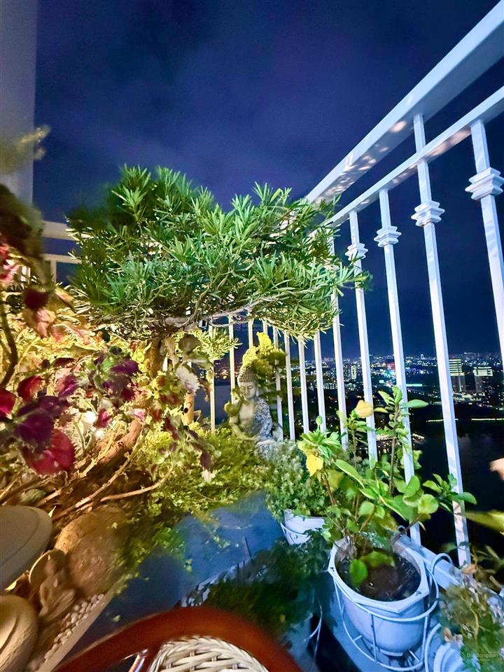 Central 2 | 135m²  4 ban công  view sông & pháo hoa  có sẵn dòng tiền 65 triệu/tháng