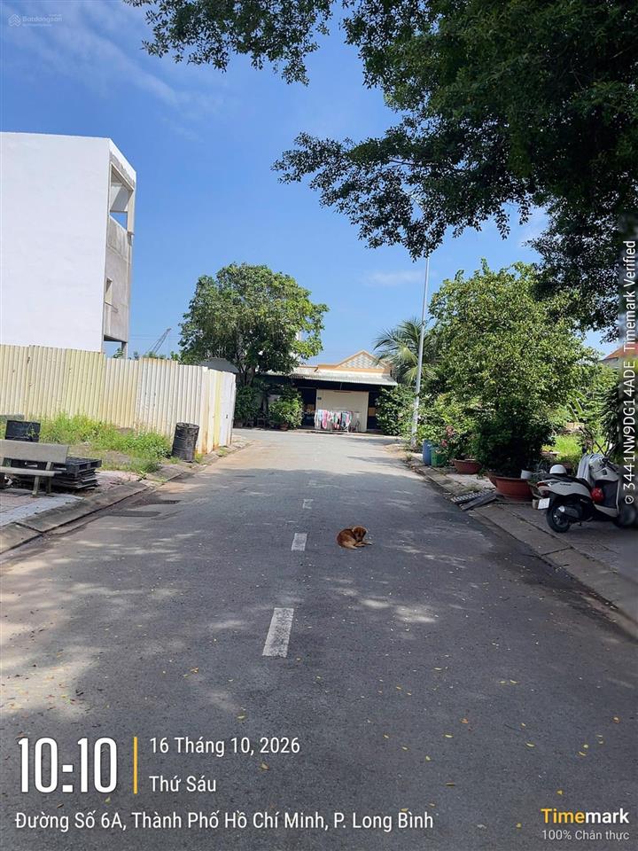 Bán đất tại long bình, 8,4 tỷ, 152,6 m2, giá siêu hời đẹp, nhiều tiện ích