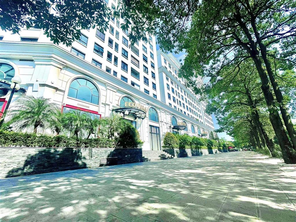 Cho thuê căn hộ cc eco city việt hưng, 11 triệu/tháng, diện tích 73 m2 thiết kế 2n2wc