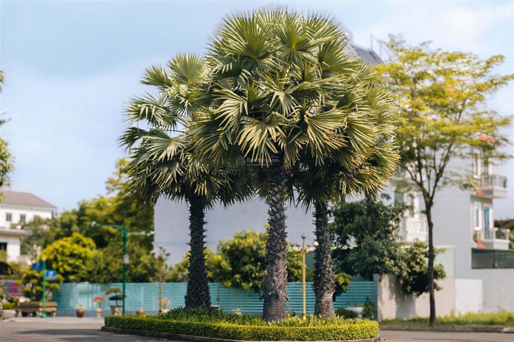 Độc quyền căn nhà phố thương mại đẹp nhất the royal  số lượng giới hạn