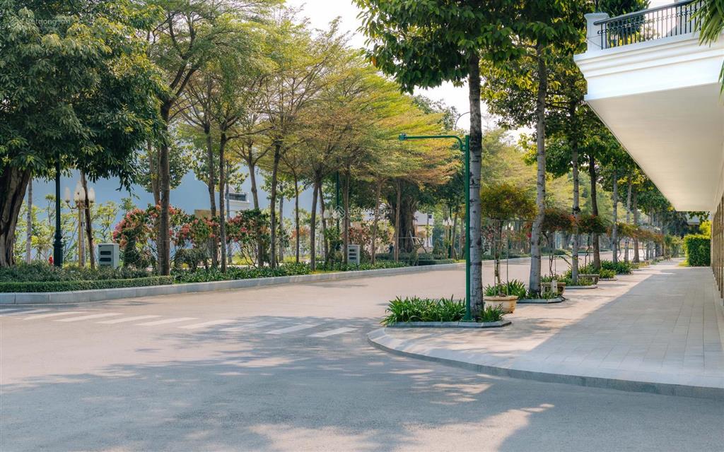 Bán độc quyền biệt thự the royal  tài sản giá trị dành cho thế hệ tương lai