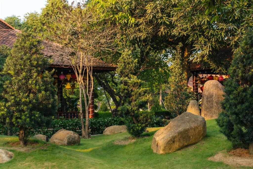 Độc quyền căn nhà phố thương mại đẹp nhất the royal