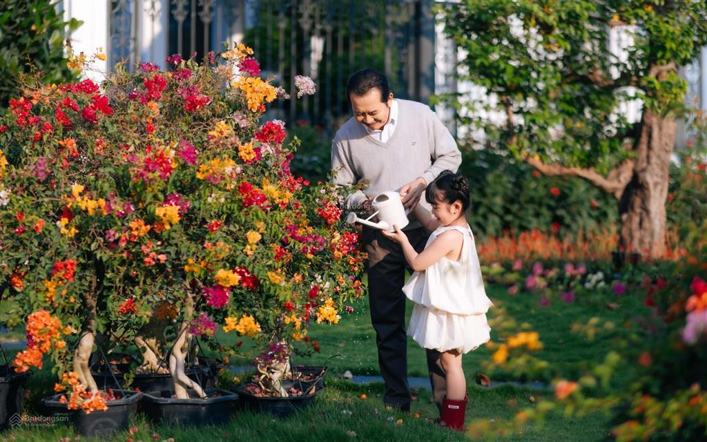 Độc quyền căn nhà phố thương mại đẹp nhất the royal
