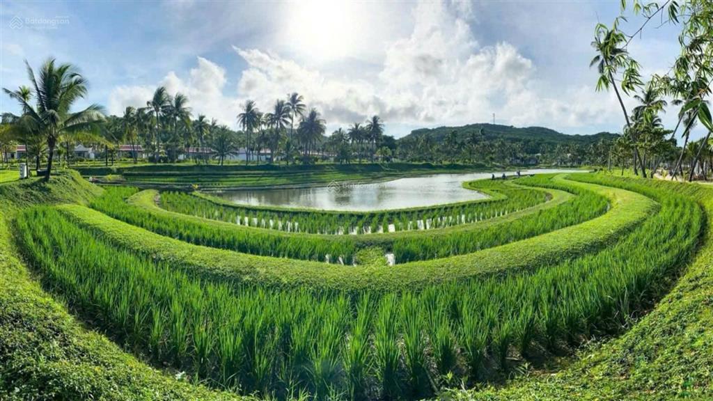 Biệt thự mặt biển park hyatt phú quốc | 1.531m² đất  765m² xây dựng | giá 110 tỷ