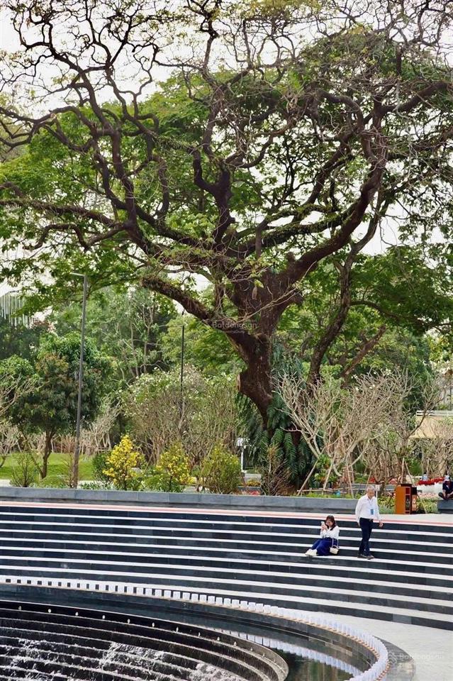 Giảm 76 tỷ về 68 tỷ bán gấp toà văn phòng 900m2 sàn mặt tiền hùng vương hầm 7 tầng công viên quận 5