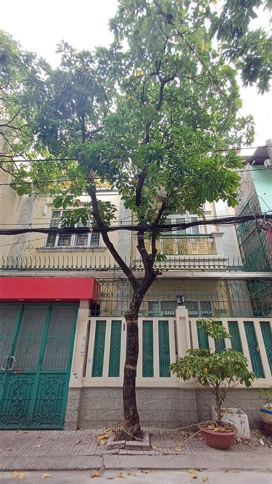 Chỉ 8,7 tỷ  biệt thự khu vip bàu cát  3 tầng, 6x15  cam kết chuẩn 100%