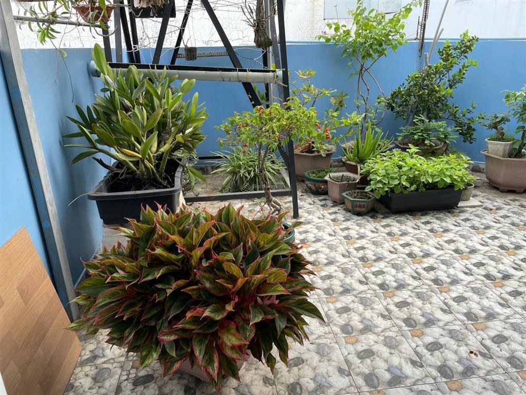 Cần bán nhà hxh đường lê trọng tấn  tân phú