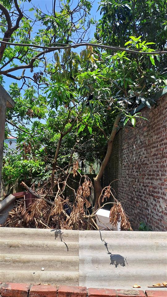 Đất đại áng 30m2 giá 3,5 tỷ ô tô vào đất mảnh hiếm còn sót lại 0844 444 ***