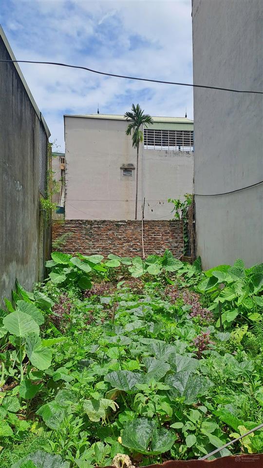 Khánh vân 36m² đất 4,3 tỷ ngõ thông ô tô vào đất 0844 444 ***