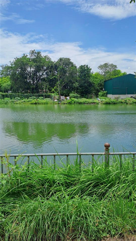 Khánh vân 36m² đất 4,3 tỷ ngõ thông ô tô vào đất 0844 444 ***
