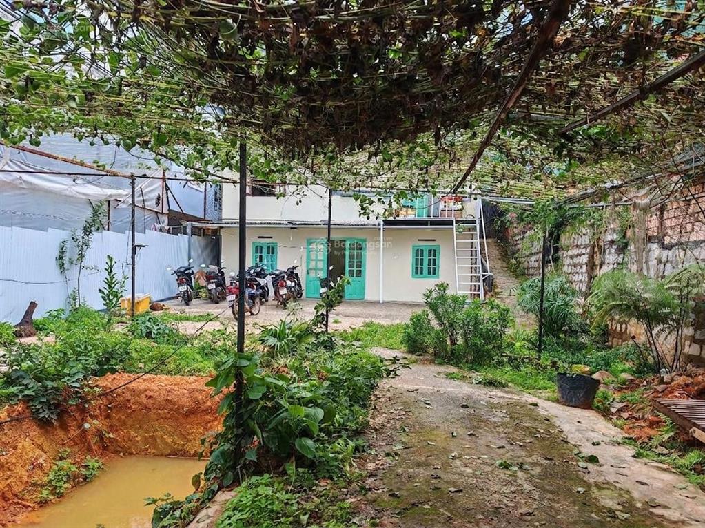 Nhà khu dưới trệt sân rộng 300m2