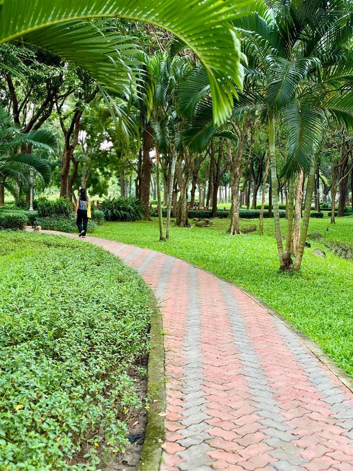 Bán căn hộ diamond centery celadon city 8, x tỷ  96m2, 2pn 2wc